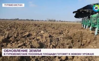 Туркменские школьники вместо уроков убирают морковь на полях