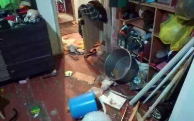 В квартиру в Ашхабаде ворвались неизвестные и убили собаку и кошку
