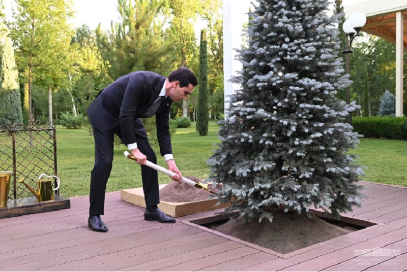 Сердар Бердымухамедов сажает дерево на Аллее почетных гостей. Фото пресс-службы президента Узбекистана