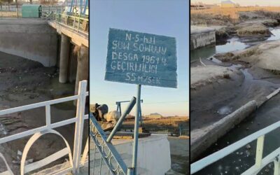В Марыйском велаяте люди берут воду для питья из тех же луж, откуда пьют животные