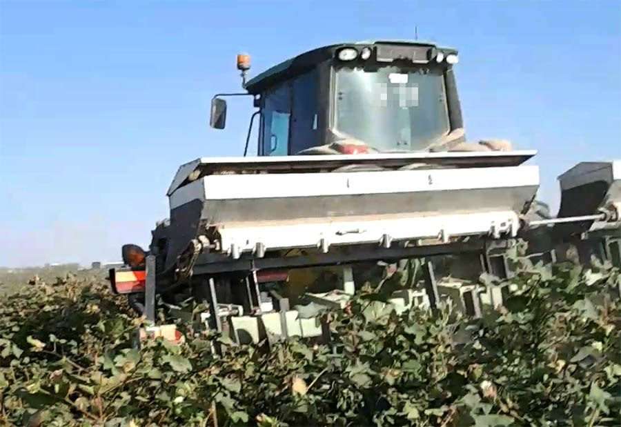 Трактор сеет пшеницу на хлопковом поле. Марыйский велаят, ноябрь 2023 года