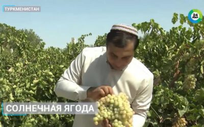 Телеканал «Мир-24» раскрыл наличие двойного курса валют в Туркменистане