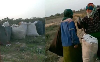 В Туркменистане бюджетников вновь привлекают к сбору хлопка. Дехканам недоплачивают за урожай
